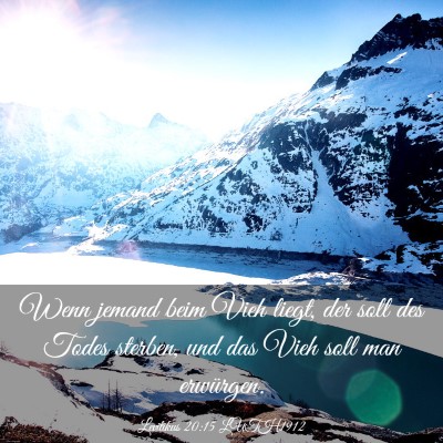 Picture 03 - Levitikus 20:15 LUTH1912 - Wenn jemand beim Vieh liegt, der soll des Todes - Bible Verse Picture