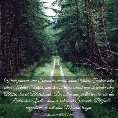 Picture 03 - Levitikus 20:17 LUTH1912 - Wenn jemand seine Schwester nimmt, seines Vaters - Bible Verse Picture