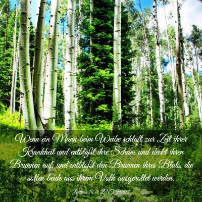 Picture 03 - Levitikus 20:18 LUTH1912 - Wenn ein Mann beim Weibe schläft zur Zeit ihrer - Bible Verse Picture