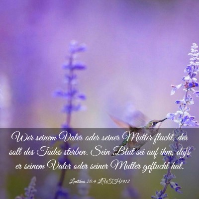 Picture 03 - Levitikus 20:9 LUTH1912 - Wer seinem Vater oder seiner Mutter flucht, der - Bible Verse Picture