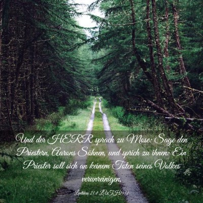 Picture 03 - Levitikus 21:1 LUTH1912 - Und der HERR sprach zu Mose: Sage den Priestern, - Bible Verse Picture