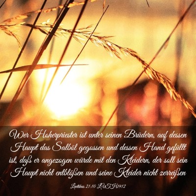 Picture 03 - Levitikus 21:10 LUTH1912 - Wer Hoherpriester ist unter seinen Brüdern, auf - Bible Verse Picture