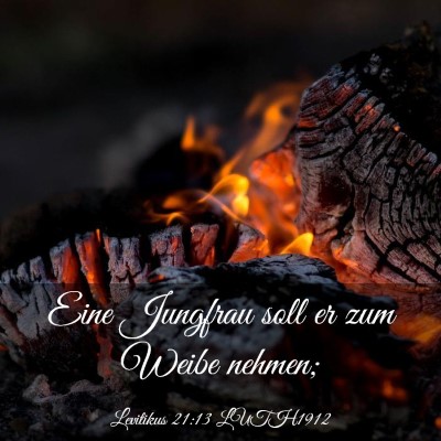 Picture 03 - Levitikus 21:13 LUTH1912 - Eine Jungfrau soll er zum Weibe - Bible Verse Picture