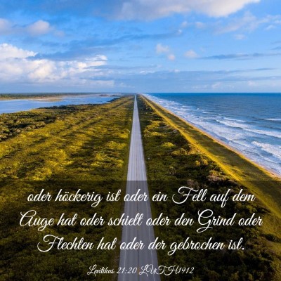 Picture 03 - Levitikus 21:20 LUTH1912 - oder höckerig ist oder ein Fell auf dem Auge hat - Bible Verse Picture