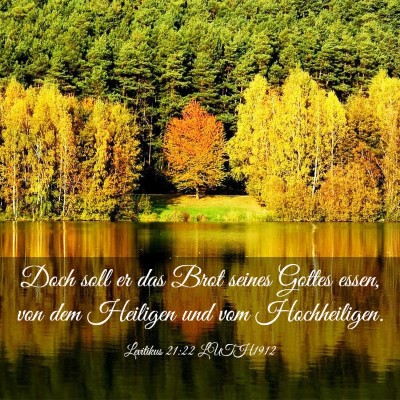 Picture 03 - Levitikus 21:22 LUTH1912 - Doch soll er das Brot seines Gottes essen, von - Bible Verse Picture