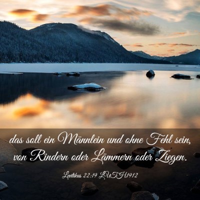 Picture 03 - Levitikus 22:19 LUTH1912 - das soll ein Männlein und ohne Fehl sein, von - Bible Verse Picture