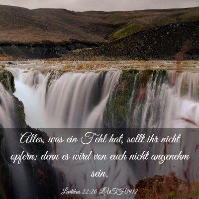 Picture 03 - Levitikus 22:20 LUTH1912 - Alles, was ein Fehl hat, sollt ihr nicht opfern; - Bible Verse Picture