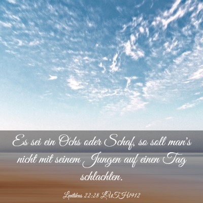Picture 03 - Levitikus 22:28 LUTH1912 - Es sei ein Ochs oder Schaf, so soll man's nicht - Bible Verse Picture