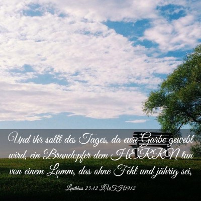 Picture 03 - Levitikus 23:12 LUTH1912 - Und ihr sollt des Tages, da eure Garbe gewebt - Bible Verse Picture
