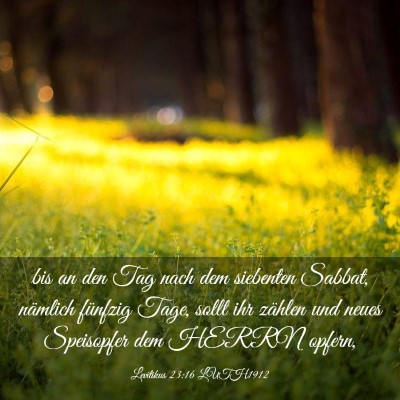 Picture 03 - Levitikus 23:16 LUTH1912 - bis an den Tag nach dem siebenten Sabbat, - Bible Verse Picture