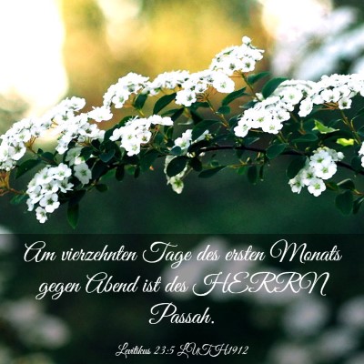 Picture 03 - Levitikus 23:5 LUTH1912 - Am vierzehnten Tage des ersten Monats gegen Abend - Bible Verse Picture