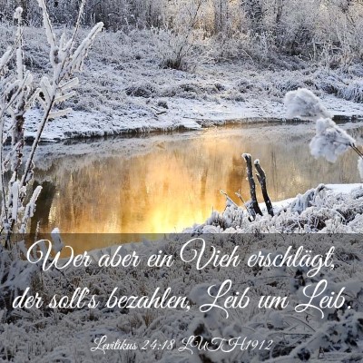 Picture 03 - Levitikus 24:18 LUTH1912 - Wer aber ein Vieh erschlägt, der soll's - Bible Verse Picture
