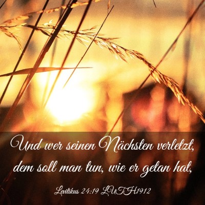 Picture 03 - Levitikus 24:19 LUTH1912 - Und wer seinen Nächsten verletzt, dem soll man - Bible Verse Picture