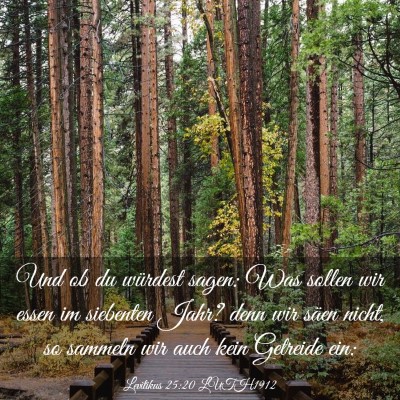 Picture 03 - Levitikus 25:20 LUTH1912 - Und ob du würdest sagen: Was sollen wir essen im - Bible Verse Picture