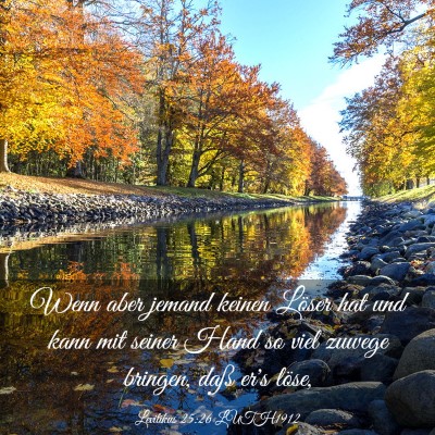 Picture 03 - Levitikus 25:26 LUTH1912 - Wenn aber jemand keinen Löser hat und kann mit - Bible Verse Picture