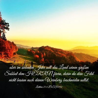 Picture 03 - Levitikus 25:4 LUTH1912 - aber im siebenten Jahr soll das Land seinen - Bible Verse Picture