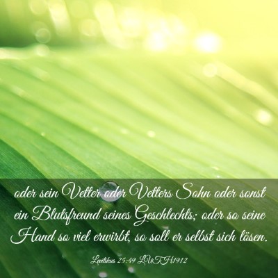 Picture 03 - Levitikus 25:49 LUTH1912 - oder sein Vetter oder Vetters Sohn oder sonst ein - Bible Verse Picture