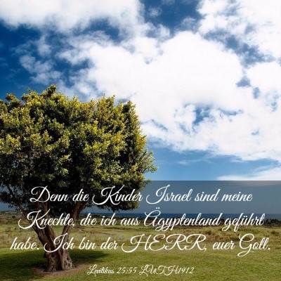 Picture 03 - Levitikus 25:55 LUTH1912 - Denn die Kinder Israel sind meine Knechte, die - Bible Verse Picture