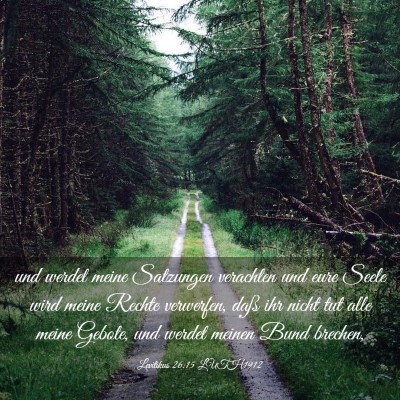 Picture 03 - Levitikus 26:15 LUTH1912 - und werdet meine Satzungen verachten und eure - Bible Verse Picture