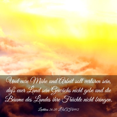 Picture 03 - Levitikus 26:20 LUTH1912 - Und eure Mühe und Arbeit soll verloren sein, - Bible Verse Picture