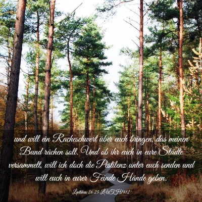 Picture 03 - Levitikus 26:25 LUTH1912 - und will ein Racheschwert über euch bringen, das - Bible Verse Picture