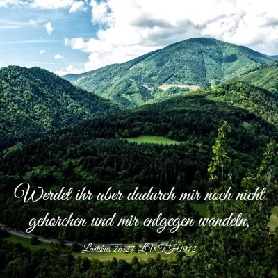 Picture 03 - Levitikus 26:27 LUTH1912 - Werdet ihr aber dadurch mir noch nicht gehorchen - Bible Verse Picture