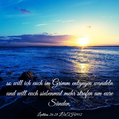 Picture 03 - Levitikus 26:28 LUTH1912 - so will ich euch im Grimm entgegen wandeln und - Bible Verse Picture