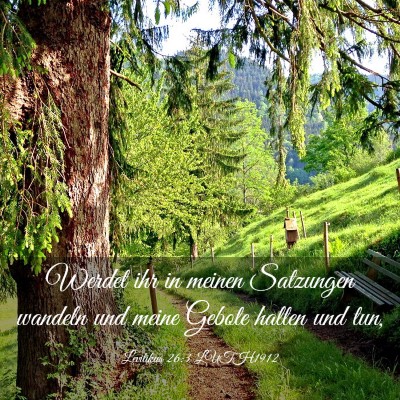 Picture 03 - Levitikus 26:3 LUTH1912 - Werdet ihr in meinen Satzungen wandeln und meine - Bible Verse Picture