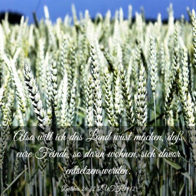 Picture 03 - Levitikus 26:32 LUTH1912 - Also will ich das Land wüst machen, daß eure - Bible Verse Picture