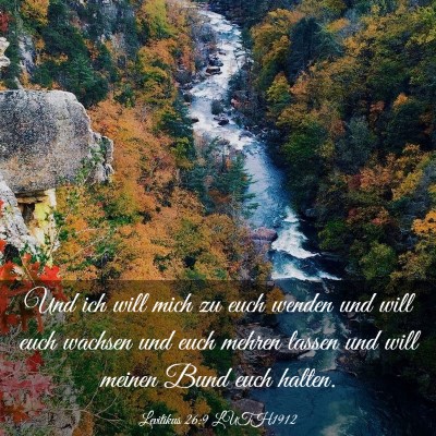 Picture 03 - Levitikus 26:9 LUTH1912 - Und ich will mich zu euch wenden und will euch - Bible Verse Picture