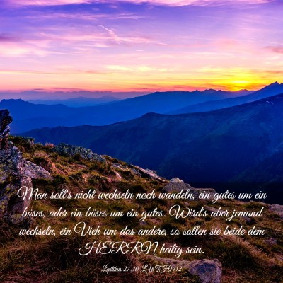 Picture 03 - Levitikus 27:10 LUTH1912 - Man soll's nicht wechseln noch wandeln, ein gutes - Bible Verse Picture