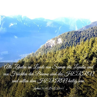 Picture 03 - Levitikus 27:30 LUTH1912 - Alle Zehnten im Lande von Samen des Landes und - Bible Verse Picture