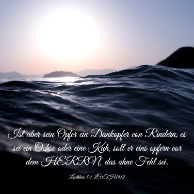 Picture 03 - Levitikus 3:1 LUTH1912 - Ist aber sein Opfer ein Dankopfer von Rindern, es - Bible Verse Picture