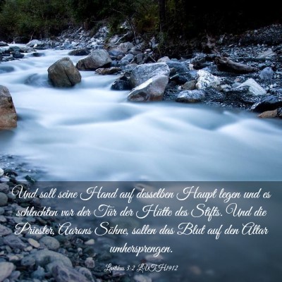 Picture 03 - Levitikus 3:2 LUTH1912 - Und soll seine Hand auf desselben Haupt legen und - Bible Verse Picture