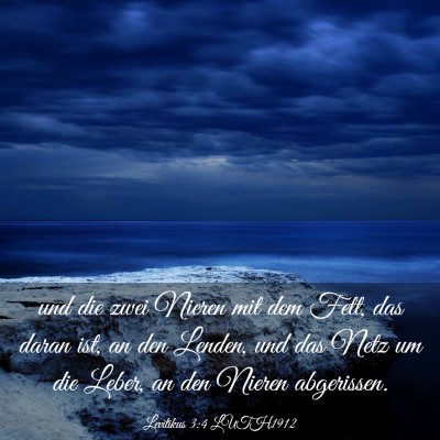 Picture 03 - Levitikus 3:4 LUTH1912 - und die zwei Nieren mit dem Fett, das daran ist, - Bible Verse Picture