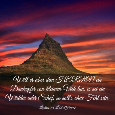 Picture 03 - Levitikus 3:6 LUTH1912 - Will er aber dem HERRN ein Dankopfer von kleinem - Bible Verse Picture