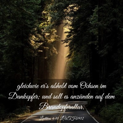 Picture 03 - Levitikus 4:10 LUTH1912 - gleichwie er's abhebt vom Ochsen im Dankopfer; - Bible Verse Picture