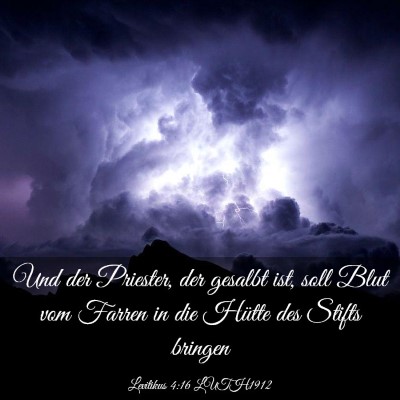 Picture 03 - Levitikus 4:16 LUTH1912 - Und der Priester, der gesalbt ist, soll Blut vom - Bible Verse Picture