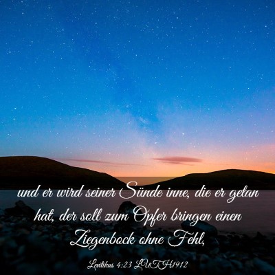 Picture 03 - Levitikus 4:23 LUTH1912 - und er wird seiner Sünde inne, die er getan hat, - Bible Verse Picture