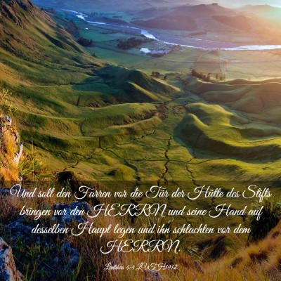 Picture 03 - Levitikus 4:4 LUTH1912 - Und soll den Farren vor die Tür der Hütte des - Bible Verse Picture