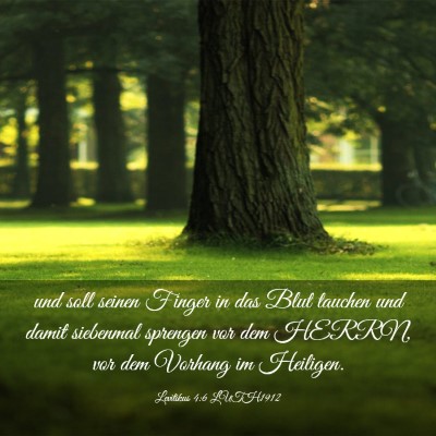 Picture 03 - Levitikus 4:6 LUTH1912 - und soll seinen Finger in das Blut tauchen und - Bible Verse Picture