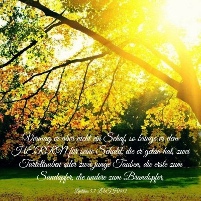 Picture 03 - Levitikus 5:7 LUTH1912 - Vermag er aber nicht ein Schaf, so bringe er dem - Bible Verse Picture