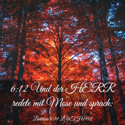 Picture 03 - Levitikus 6:19 LUTH1912 - 6:12 Und der HERR redete mit Mose und - Bible Verse Picture
