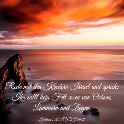 Picture 03 - Levitikus 7:23 LUTH1912 - Rede mit den Kindern Israel und sprich: Ihr sollt - Bible Verse Picture