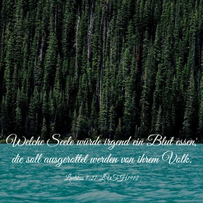 Picture 03 - Levitikus 7:27 LUTH1912 - Welche Seele würde irgend ein Blut essen, die - Bible Verse Picture
