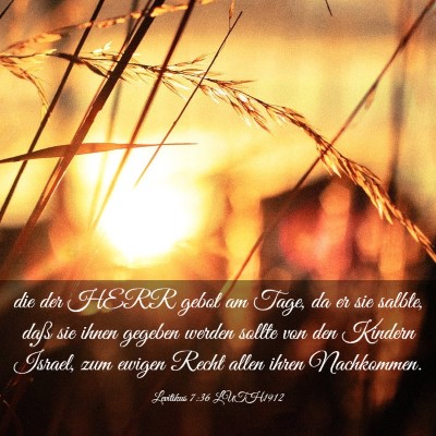 Picture 03 - Levitikus 7:36 LUTH1912 - die der HERR gebot am Tage, da er sie salbte, - Bible Verse Picture