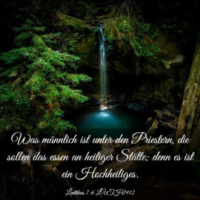 Picture 03 - Levitikus 7:6 LUTH1912 - Was männlich ist unter den Priestern, die sollen - Bible Verse Picture