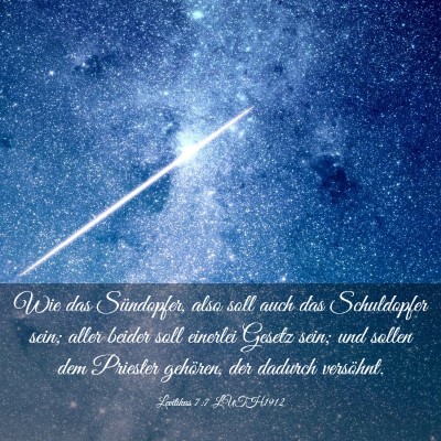 Picture 03 - Levitikus 7:7 LUTH1912 - Wie das Sündopfer, also soll auch das - Bible Verse Picture