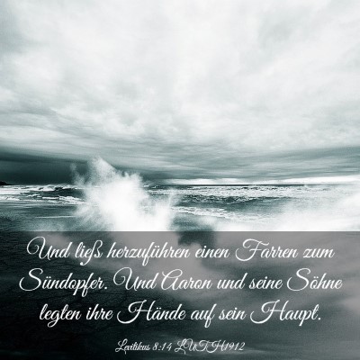 Picture 03 - Levitikus 8:14 LUTH1912 - Und ließ herzuführen einen Farren zum - Bible Verse Picture