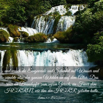Picture 03 - Levitikus 8:21 LUTH1912 - und wusch die Eingeweide und Schenkel mit Wasser - Bible Verse Picture